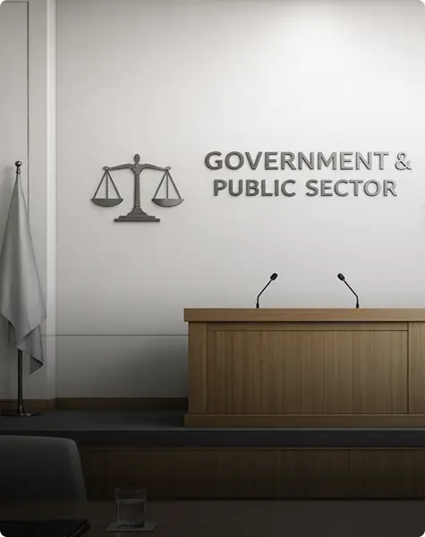 Government and Public Sector